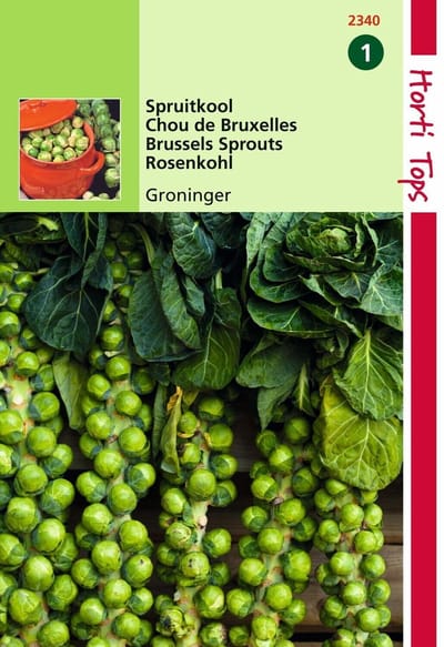 2 stuks Hortitops Spruitkool Groninger