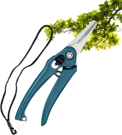 Tuinschaar Snoeischaar - Takkenschaar Snoeigereedschap - Planten Verzorgen - Roestvrij Koolstofstaal - Zie beschrijving - Groen