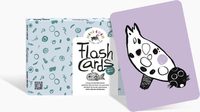 Mini Coco | Flash Cards | Ocean | NL