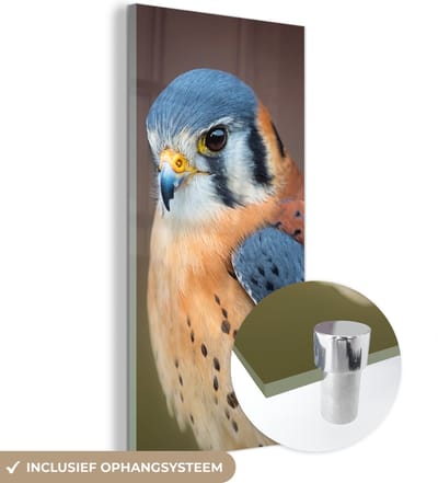 MuchoWow® Glasschilderij 20x40 cm - Schilderij acrylglas - Vogel - Macro - Blauw - Foto op glas - Schilderijen