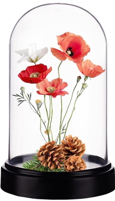Dailygoods- Display Case Acryl Koepel 11,6 x 18,5 cm - Vitrine - Cloche - Terrarium - Tafelblad Decoratie - Zwarte Basis