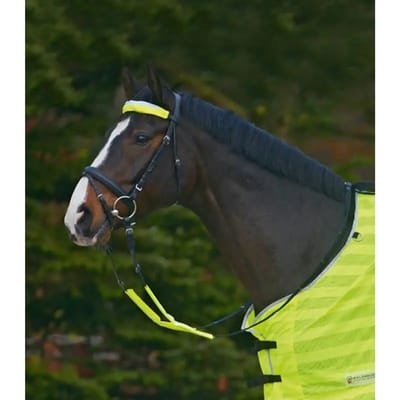 Accessoires voor rijzadels Waldhausen Reflex (x3)