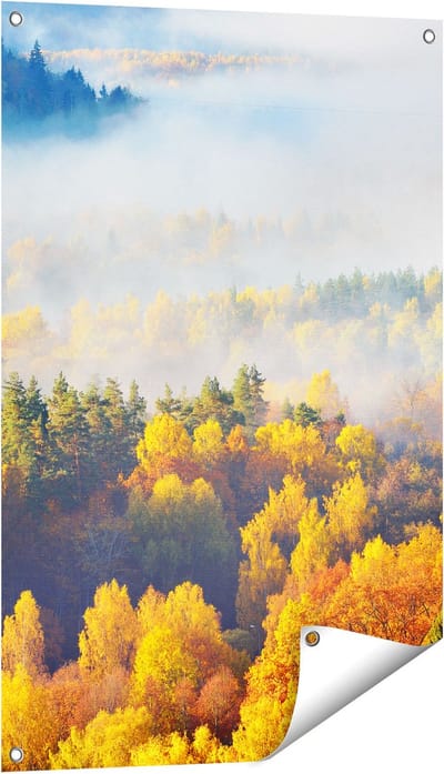 Gards Tuinposter Gekleurde Herfstbos met Mist - 60x90 cm - Tuindoek - Tuindecoratie - Wanddecoratie buiten - Tuinschilderij