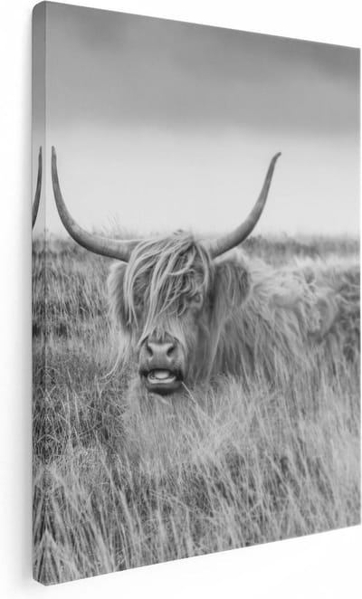Artaza Canvas Schilderij Hooglander - 30x40 cm - Klein - Muurdecoratie Grasveld - Wanddecoratie Woonkamer - Kamer Accessoires