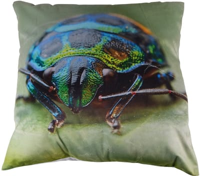 Photoprint Bug Kussen | 45 X 45 | Sierkussen Voor Woonkamer Of Slaapkamer