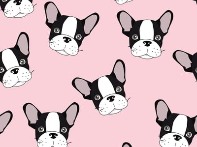 kinderkamerkleed vinyl | Frenchie roze