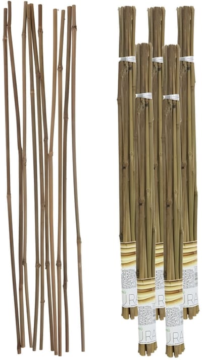 Gerimport Plantenstokken - 50x stuks - bamboe - 60 cm - plantensteun / tonkinstokken