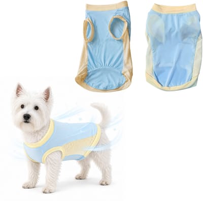 Honden Koelvest Blauw – Verkoelend Hondenshirt – Ademend & UV-Bestendig – Lichtgewicht Zomer Hondenvest – Koelend na Bevochtigen – Voor Kleine, Middelgrote & Grote Honden – XS – 2 Stuk