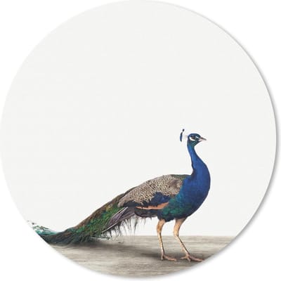 Muismat rond 20x20 cm - Mousepad Dieren - Pauw - Wit - Ronde muismatten