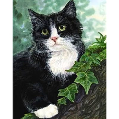 DIY zwarte kat 5D diamant mozaïek kit strass diamant borduurwerk diamant schilderen kruissteek 20X30CM black
