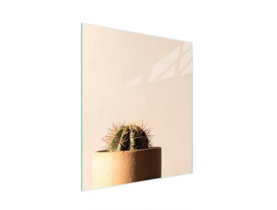 TMK ArtDeko - Snijplank van glas - 45x52 cm - Bescherming - Kaktus