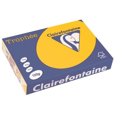 Clairefontaine Trophée Intens, gekleurd papier, A4, 120 g, 250 vel, zonnebloemgeel
