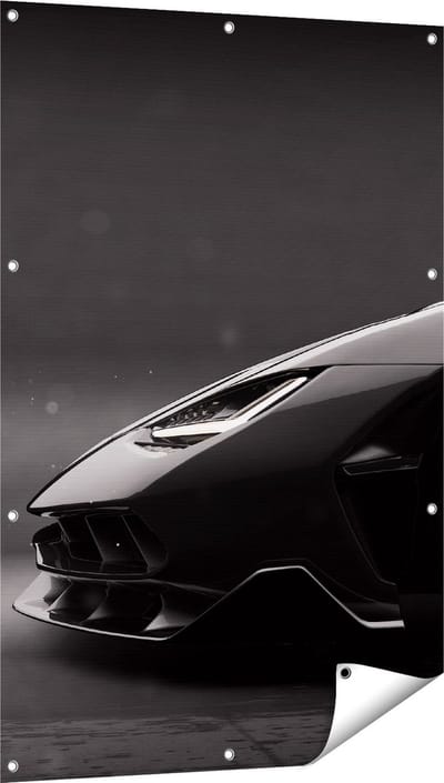 Gards Tuinposter Zijaanzicht Zwarte Sportwagen Auto - 80x120 cm - Tuindoek - Tuindecoratie - Wanddecoratie buiten - Tuinschilderij
