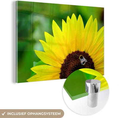 ® Glasschilderij 180x120 cm - Schilderij acrylglas - Hommel opzoek naar nectar op een gele zonnebloem - Foto op glas - Muurdecoratie woonkamer - Wanddecoratie slaapkamer - Schilderijen