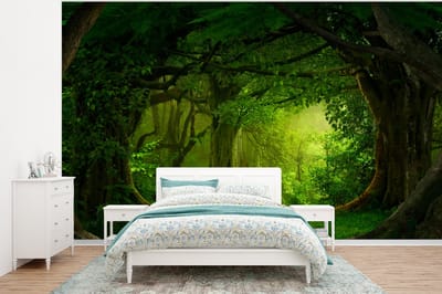 Behang - Fotobehang Bomen - Bos - Groen - Landschap - Natuur - Breedte 375 cm x hoogte 280 cm