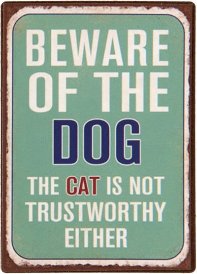 Magneet | 5*0.3*7 cm | Groen | Ijzer | rechthoekig | beware of the dog the cat is not trustworthy either | Clayre & Eef | 6Y2432