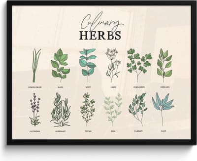 Fotolijst inclusief poster - Posterlijst 80x60 cm - Posters - Kruiden - Planten - Herbs - Groen - Vintage - Foto in lijst - Keuken decoratie muur - Wanddecoratie accessoires - Muurdecoratie - Schilderijen