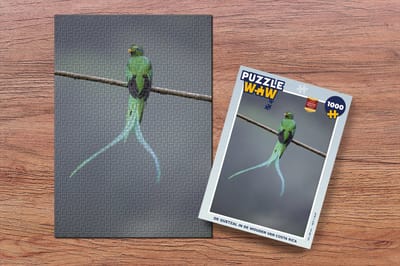Puzzel De quetzal in de wouden van Costa Rica - Legpuzzel - Puzzel 1000 stukjes volwassenen