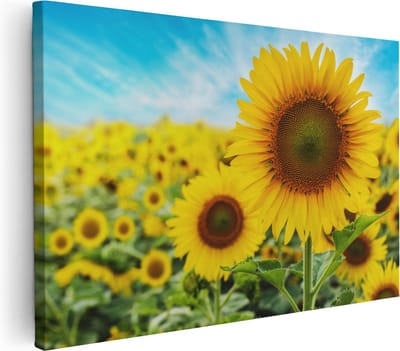 Artaza Canvas Schilderij Zonnebloemenveld - 30x20 cm - Klein - Muurdecoratie Bloemen - Wanddecoratie Woonkamer - Schilderijen Op Canvas
