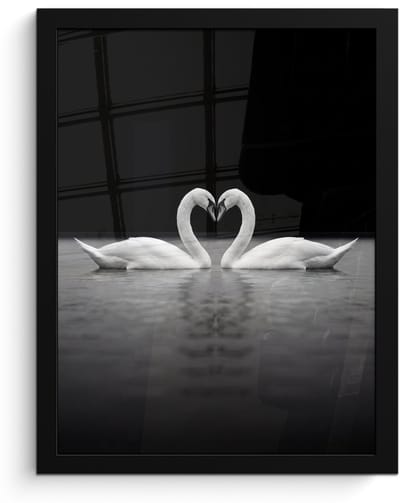 Poster in lijst - Fotolijst 30x40 cm - Posters - Zwanen - Hart - Zwart - Wit - Posterlijst zwart - Decoratie - Wanddecoratie woonkamer - Muurdecoratie slaapkamer