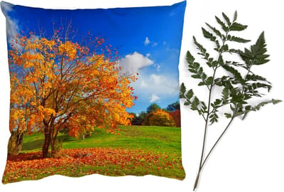 Sierkussens - Kussentjes Woonkamer - 40x40 cm - Boom - Bladeren - Herfst - Seizoenen