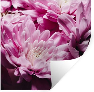Muurstickers - Sticker Folie - Bloemen - Roze - Natuur - 100x100 cm - Plakfolie - Muurstickers Kinderkamer - Zelfklevend Behang XXL - Zelfklevend behangpapier - Stickerfolie