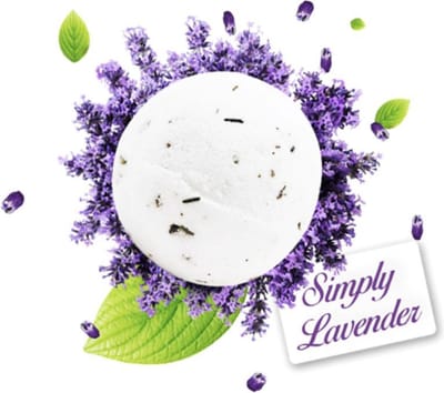 Lavanda del Lago - Bruisbal Simply Lavendel