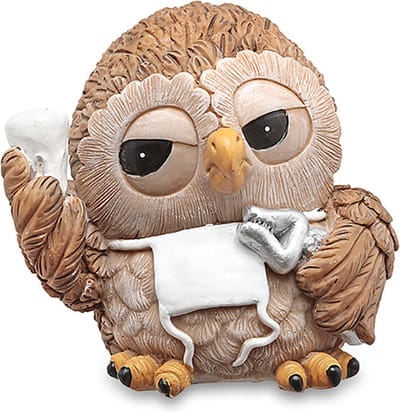 Wisdom friends uiltjes - Beeldjes van beroepen en sporten Uiltje Karel de tandarts- hoogte 10 cm - handgeschilderd - verzameling / Sinterklaas cadeautjes / Kerstcadeautjes
