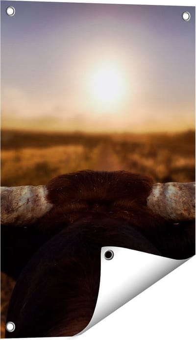 Gards Tuinposter Stierenhoorns bij Zonsondergang - 40x60 cm - Tuindoek - Tuindecoratie - Wanddecoratie buiten - Tuinschilderij