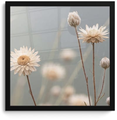 Poster in lijst - Fotolijst 40x40 cm - Posters - Strobloemen - Wit - Daglicht - Posterlijst zwart - Decoratie - Wanddecoratie woonkamer - Muurdecoratie slaapkamer