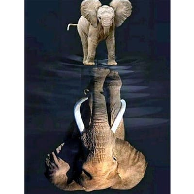 Diamantschilderij Volledige boor Olifant Broderie Diamant Cartoon Diamant Kruissteek Modern Home Decor 20X30CM gray