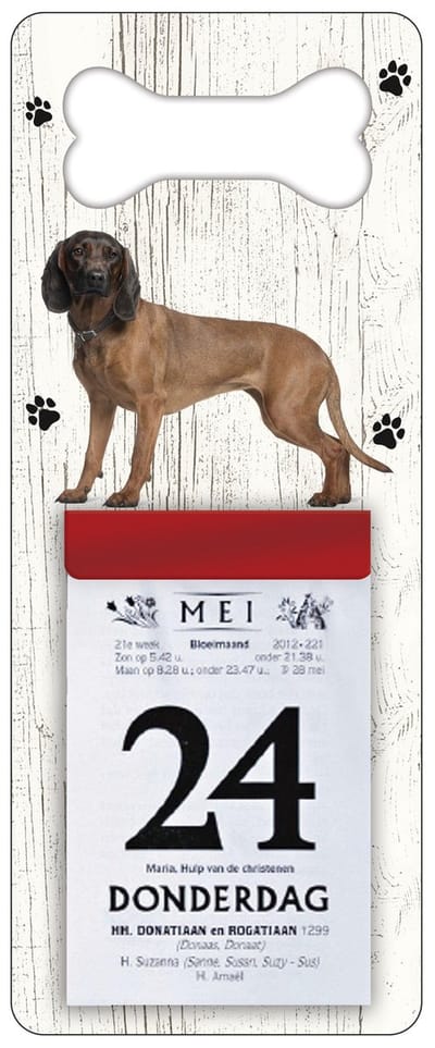 Scheurkalender 2027 Hond: Beierse Bergzweethond