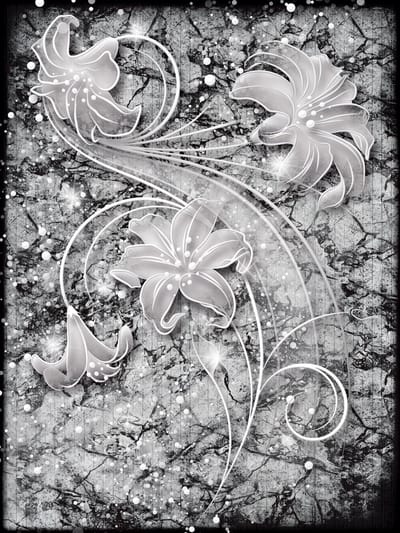 Floral Abstract Silver Grey Black Photo Wallcovering