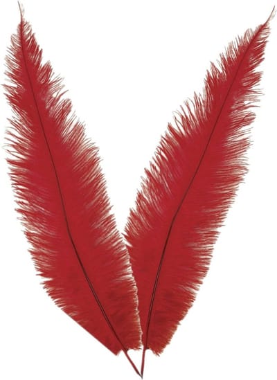 Grote struisvogelveer/pietenveer - 2x - rood - 40 cm - Charleston/jaren 20/twenties thema verkleed accessoire