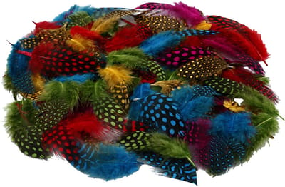 Veren van parelhoen, ca. 1500 stuk, diverse kleuren, 50 gr/ 1 doos