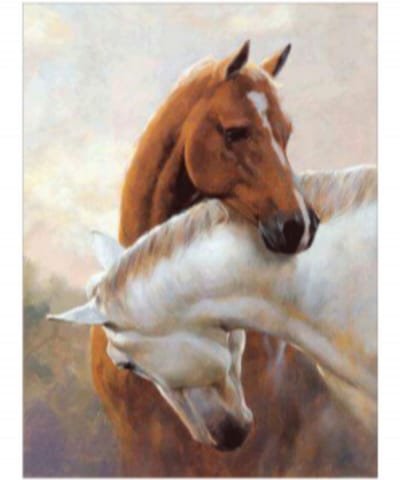 Goodli Diamond Painting - Twee Paarden - voor Volwassenen en Kinderen - Diamant Painting Volledig Pakket - Ronde Steentjes - 30x30 cm - DIY 5D Diamanten