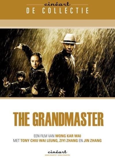 The Grandmaster (DVD)