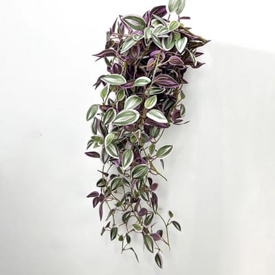 Lange Hangende Muur Kunstplanten Ranken Zijde Groene Boombladeren Rotan Huis Tuin Bruiloft Tafeldecoratie Nep Planten black
