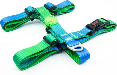 Tailpetz - H-type harnas SMALL - blauw/groen - nek 24-38cm - borst 32-51cm - machinewasbaar - traploos verstelbaar