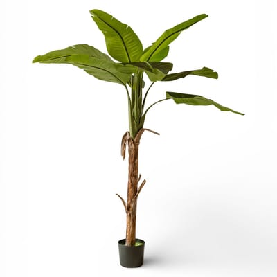 Indore Silva Kunstplant Banaan 170 cm – Grote Tropische Kamerplant – Eyecatcher – Onderhoudsvrij