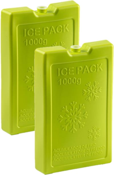 Plasticforte Koelelementen van 1000 gram - 2x stuks - groen - 22 x 14.5 x 3.5 cm - voor koeltas en koelbox