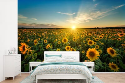 Behang - Fotobehang Zonsondergang - Bloemen - Zonnebloem - Horizon - Landschap - Breedte 390 cm x hoogte 260 cm