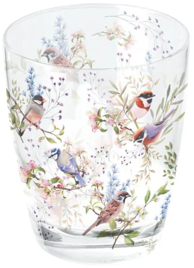 Ambiente-waterglas-busy birds-vogels-glas-set/2-bloesem-cadeau