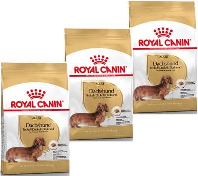 Royal Canin Dachshund Adult - Hondenvoer - 3 x 1,5 kg - Volwassen Teckel