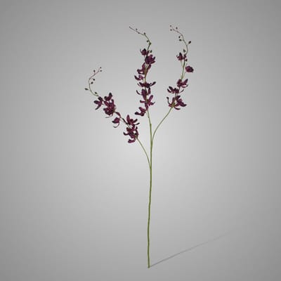 Brynxz | Sylxz | Zijdebloem | Purple | Red | Dark Pink | 87cm