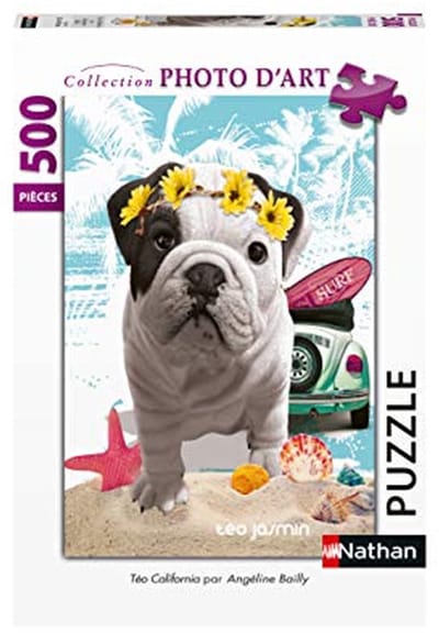 500 Stuk Puzzel Teo California voor Volwassenen