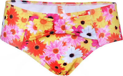 Kleurrijke slipjes, onderdelen van dameszwemkleding: slipjes voor het zwembad en het strand, bikini – hoge taille