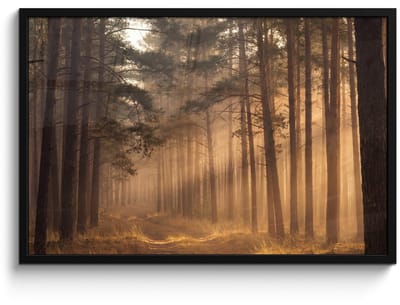 Poster in lijst - Fotolijst 90x60 cm - Posters - Bos - Mist - Zonlicht - Posterlijst zwart - Decoratie - Wanddecoratie woonkamer - Muurdecoratie slaapkamer