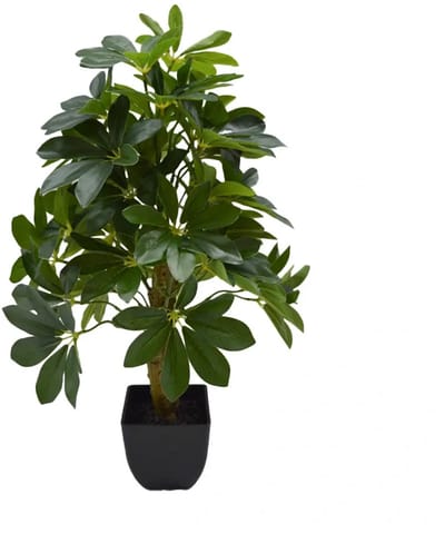Kunstplant Schefflera in Pot - 60 cm