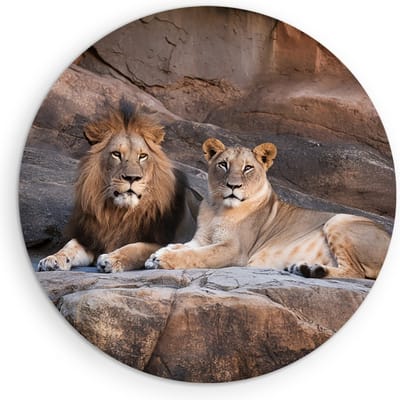 Saammp Muurcirkel Hout - Leeuw en Leeuwin op Rotsen - Dieren - Natuur - Ø 90 - Wandcirkel - Wanddecoratie Cirkel - Muurdecoratie Woonkamer - Slaapkamer decoratie - Rond Schilderij